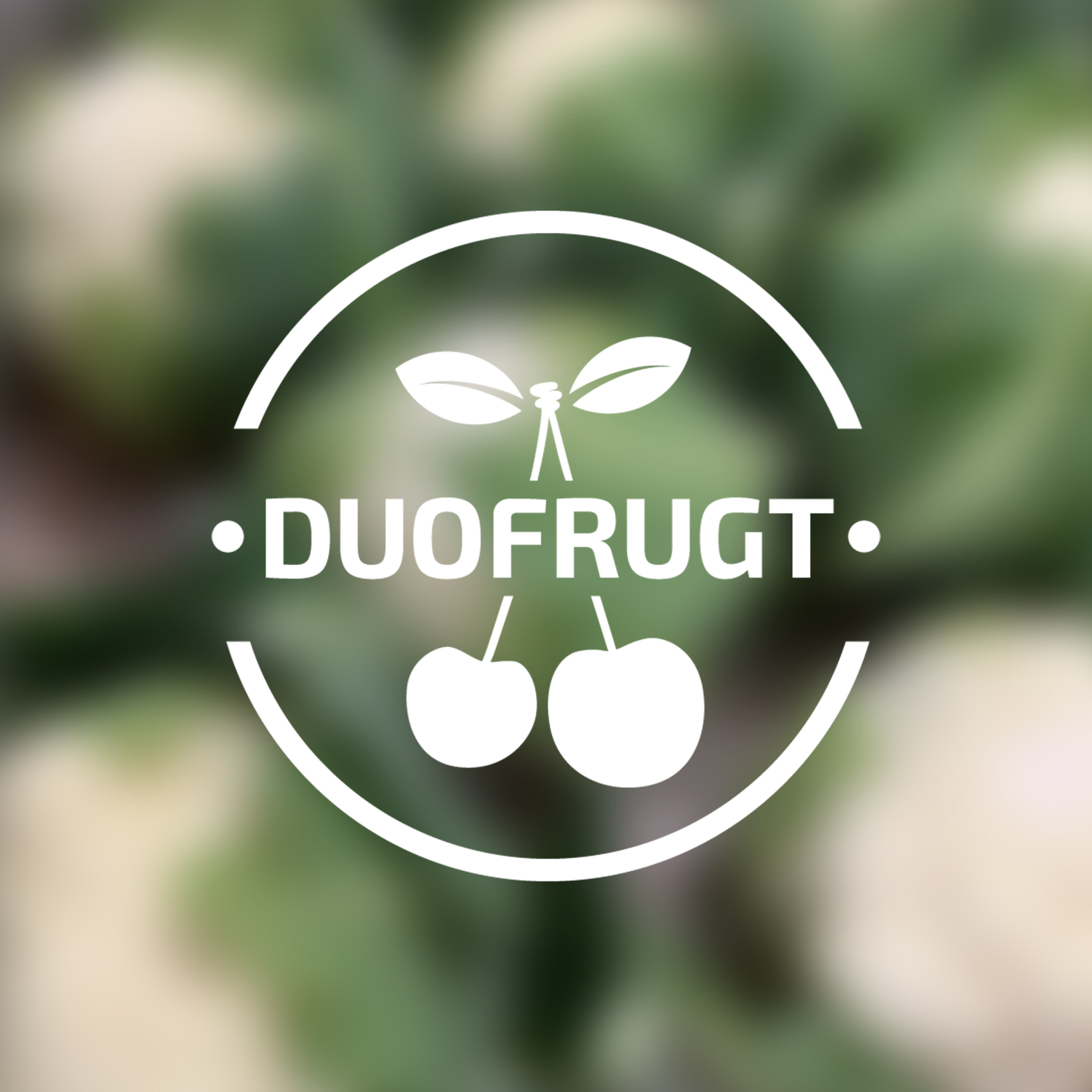 duo-frugt-billede-uden-billede